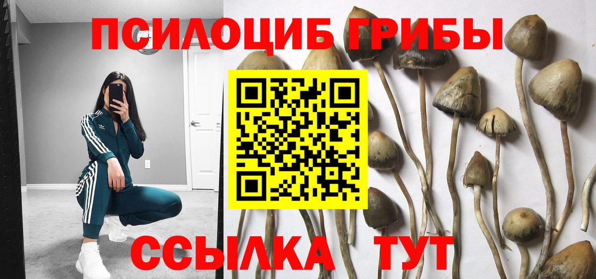 Галлюциногенные грибы ЛСД  Вход с VPN  Галлюциногенные грибы Cubensis  Черкесск 